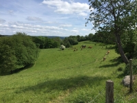 Ardennen 20 - 22 mei 2016: IMG_0025_2.jpg